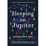 Sleeping on Jupiter: A Novel