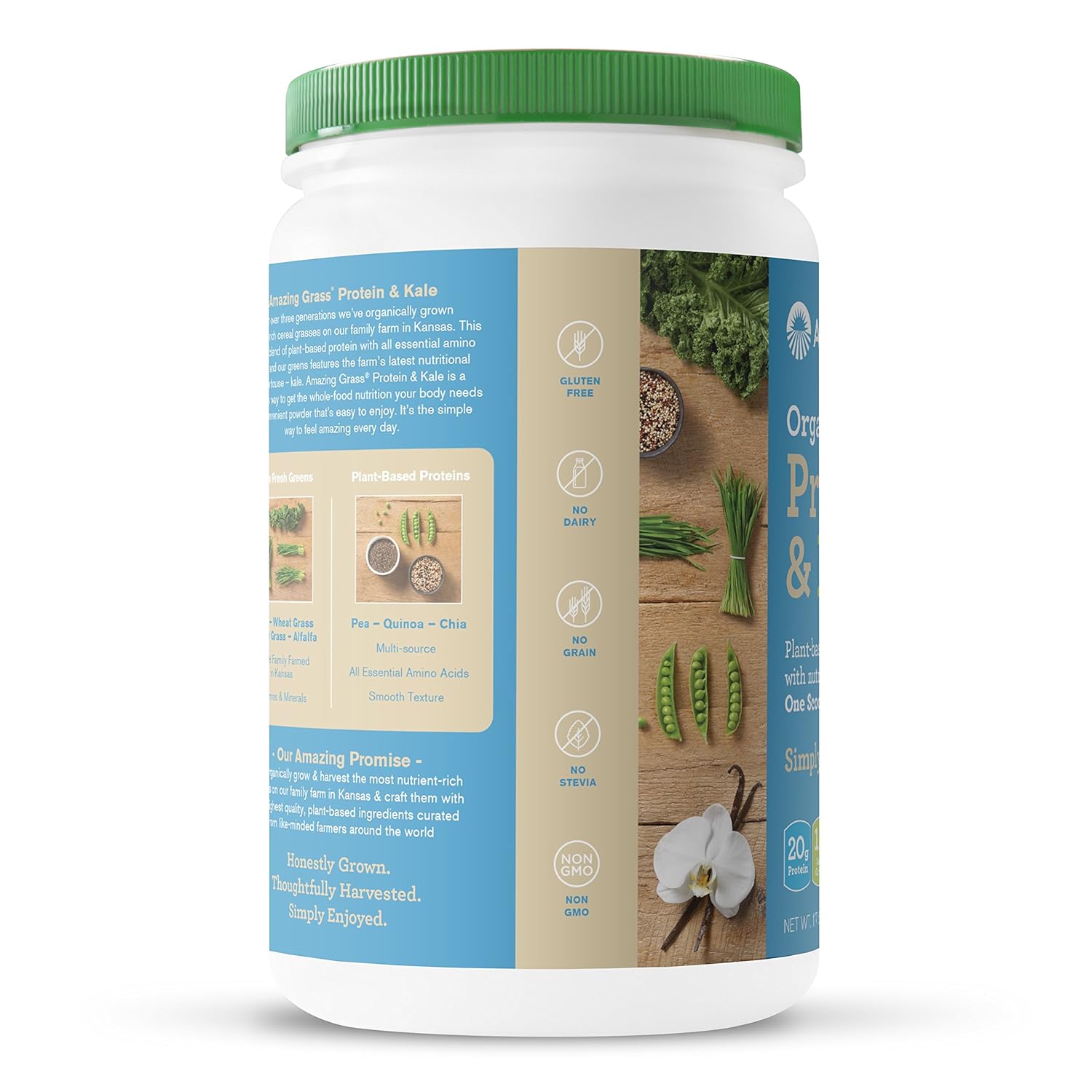 Amazing Grass Vegan Protein & Kale Powder: 20g of Organic Protein + 1 Cup Leafy Greens per Serving, Vanilla, 15 Servings : Grocery & Gourmet Food