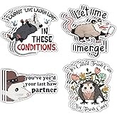(12pcs) I Cannot Live Laugh Love in These Conditions Sticker Funny Possum Opossum Stickers Waterproof Vinyl Decal Sticker for Car Truck Laptop Water Bottle Hardhat Gifts for Street Cats Opossum Lover