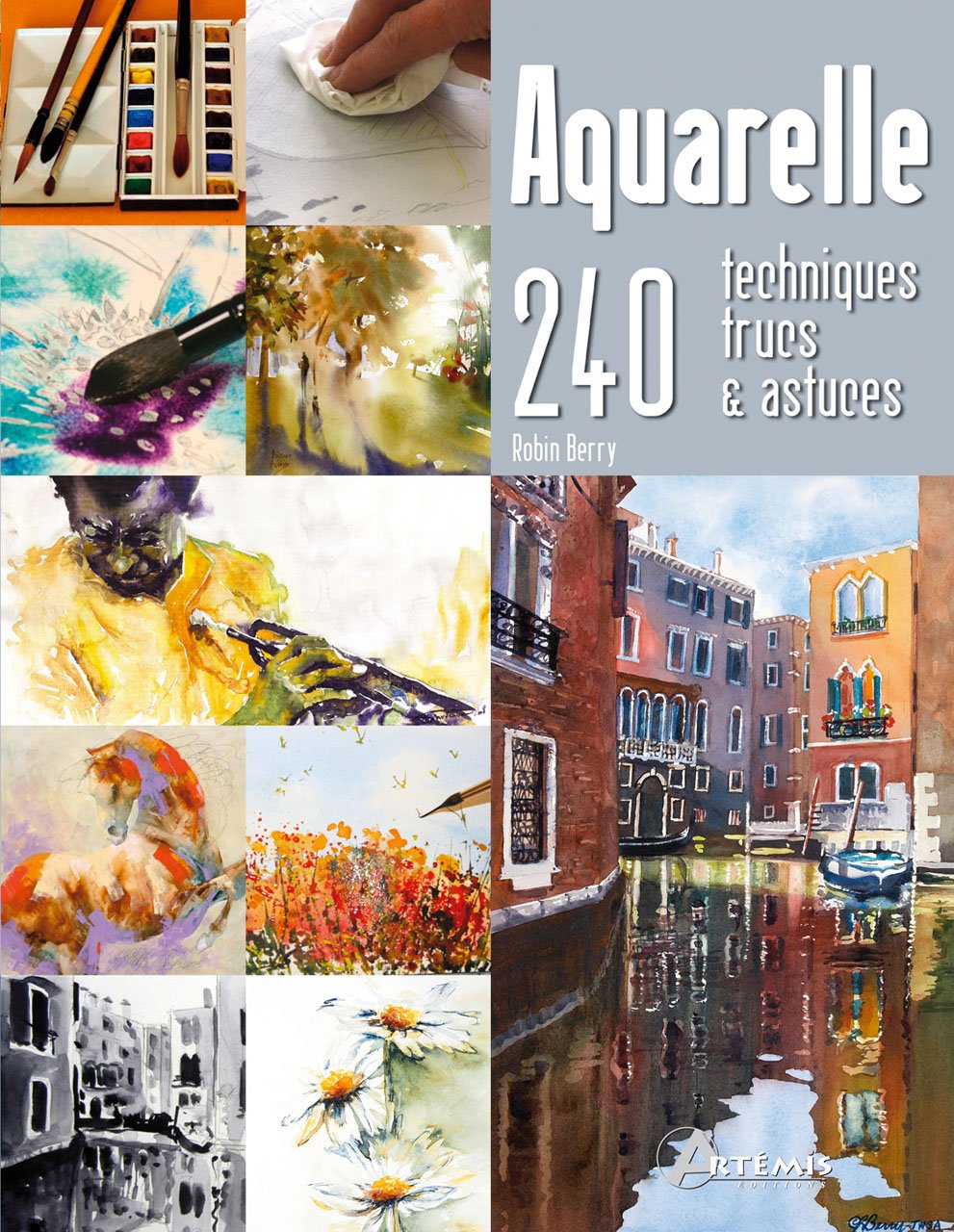 Aquarelle 240 Techniques Trucs Et Astuces Collectif Robin 9782816002072 Amazon Com Books