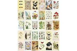 LCLAIDYDY Vintage Postcards for Mailing,Set of 30 Post Cards 4x6,Butterfly Mushroom Botanical Cottagecore Ephemera Postcard Pack for Wall Collage Collection