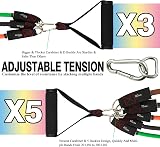 TheFitLife Resistance Bands Set with Handles Door Anchor Ankle Straps 5 Bands view 2