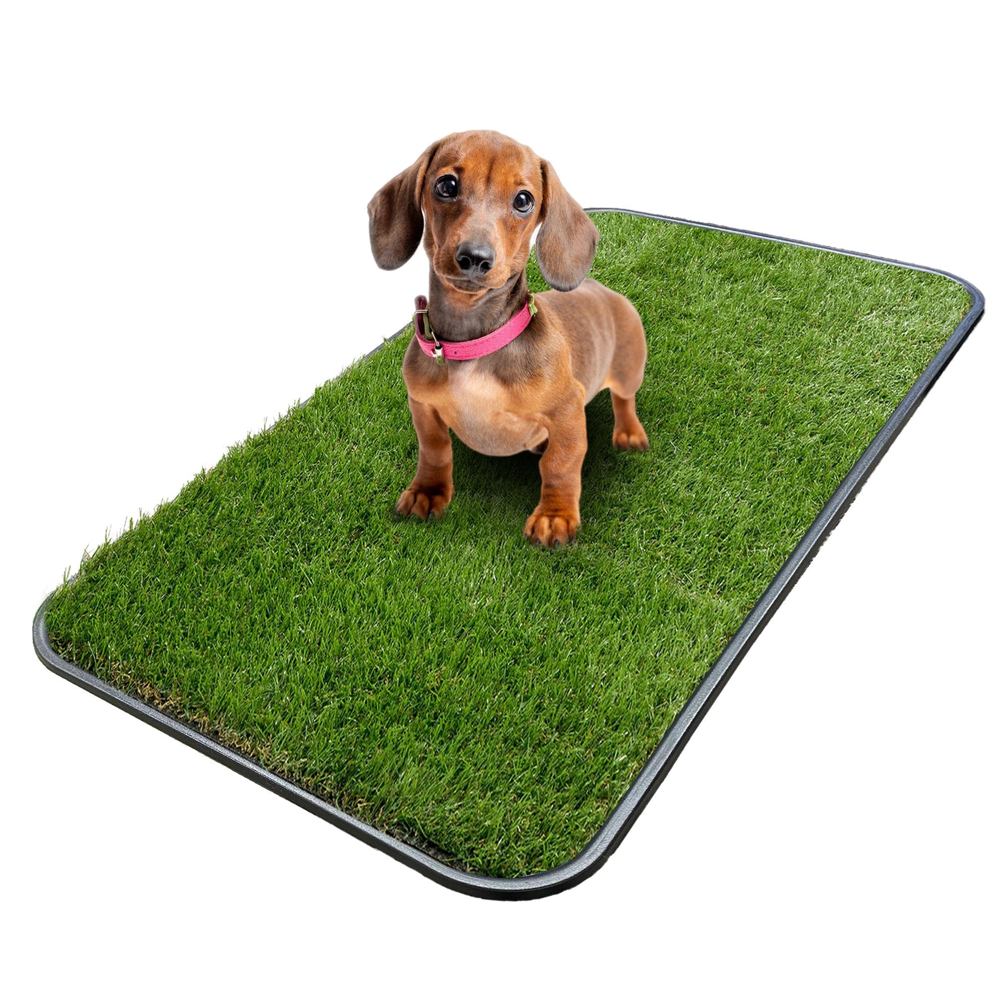 Pee Pad Puppy Potty Training Turf Indoor Dog Potty SHACOS