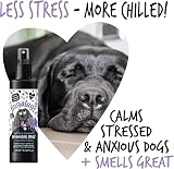 BUGALUGS Lavender & Chamomile Dog Perfume 200ml vegan cologne spray view 9