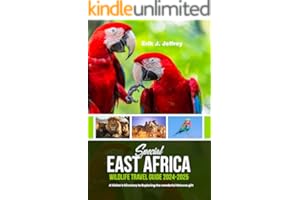 kindle best category lists