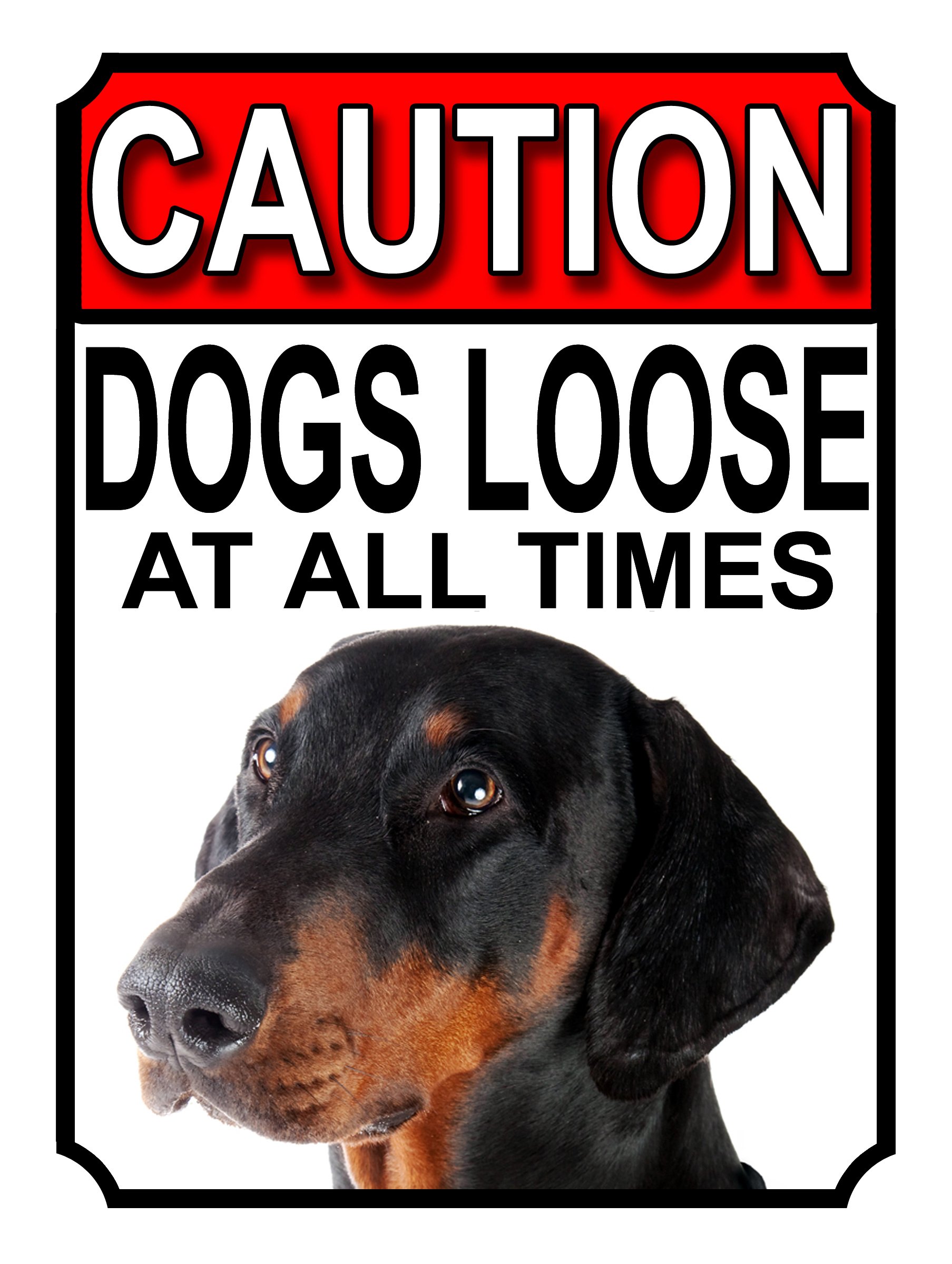Shawprint Limited CAUTION DOGS LOOSE AT ALL TIMES METAL GATE SIGN DOBERMAN PINSCHER 200MM X 150MM (1192H1) — image 1