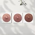 TataTattoos Temporary Realistic Nipple/Areola Tattoos - Medium Size, Medium Shades Variety Pack (1 pair of each color)