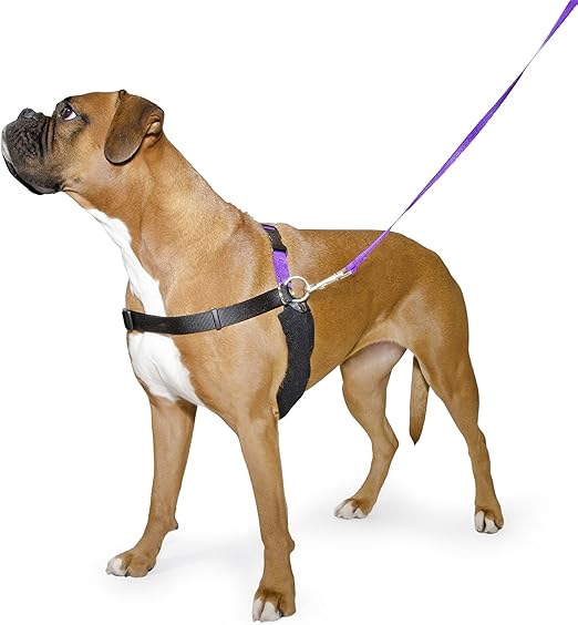 happy at heel harness amazon