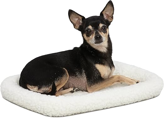 best dog bed for shedding