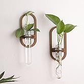 2 Pack Plant Propagation Station Wall Hanging Wooden Shelf Plant Terrarium for Hydroponics Home Office Decor Test Tube Propagate Air Plant Cutting Holder