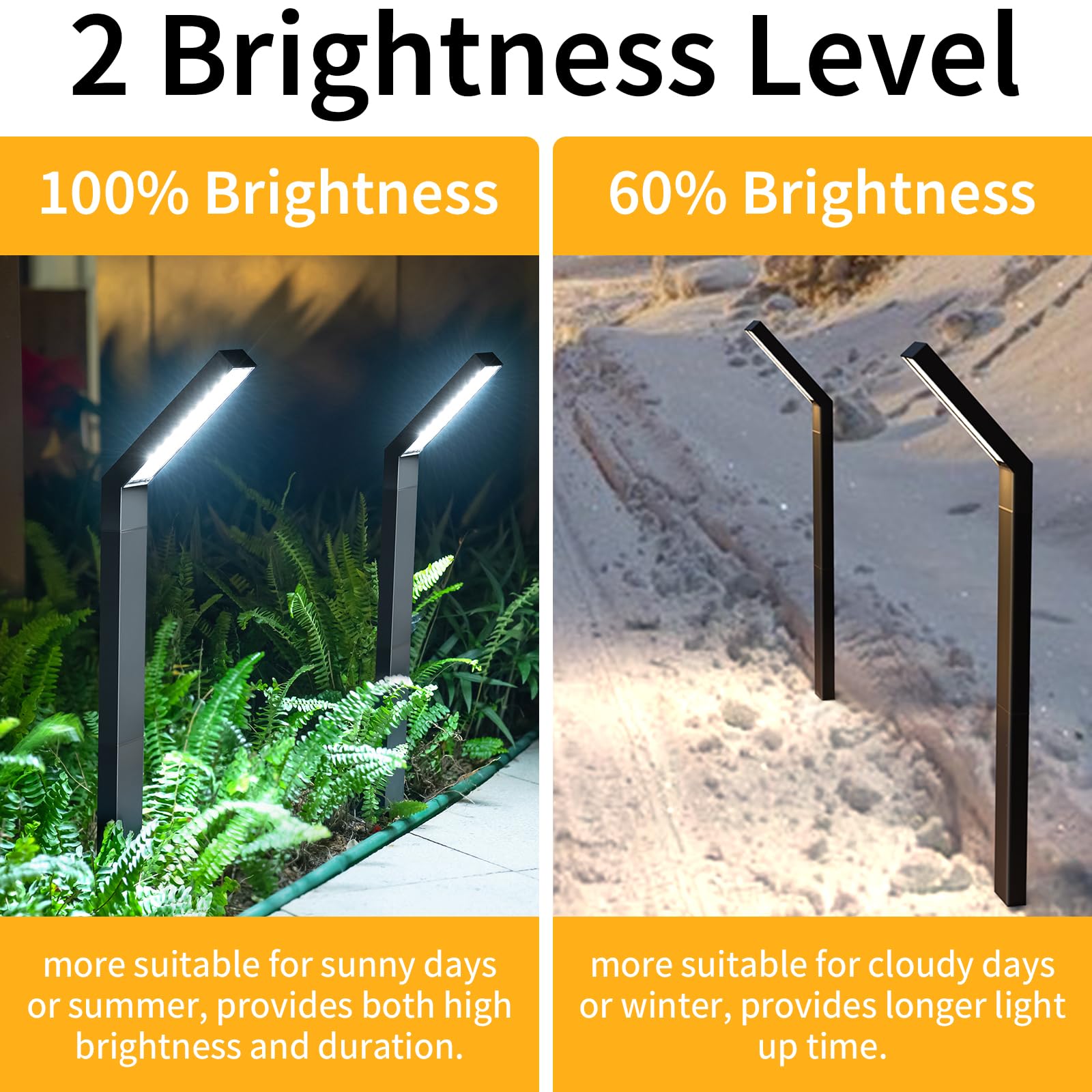 View 3