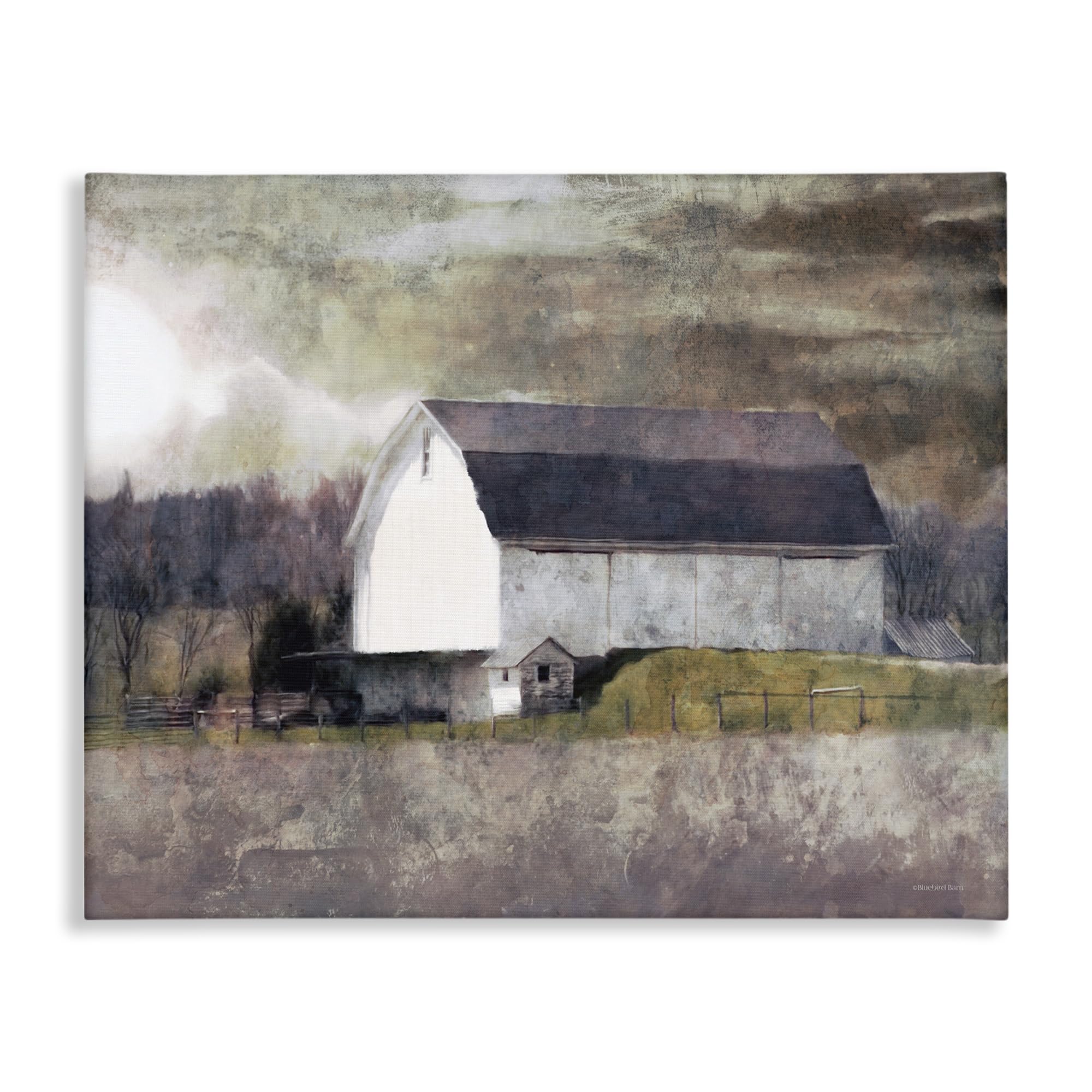 Photo 1 of Stupell Industries Stormy Sky Country Farm Murky Field Landscape, Designed by Bluebird Barn Canvas Wall Art, 48 x 36, Brown