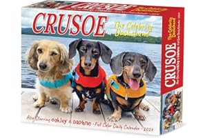 Willow Creek Press Crusoe the Celebrity Dachshund Daily 2024 Box/Desk Calendar (5.86" x 4.72")