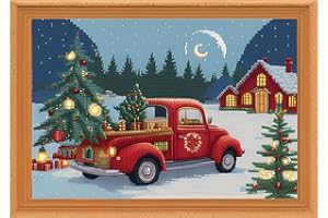 Redxing Stamped Cross Stitch Kits Embroidery kit for Beginners Adults Full Range of Embroidery Patterns Starter Kits DIY Prin