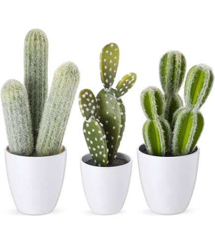 Amazon.com: GnFlus Artificial Succulent in Cylindrical Glass Vase Fake  Cactus Plant with Modern Glass Terrarium for Home Decor Farmhouse Hostess  Gift : Home & Kitchen
