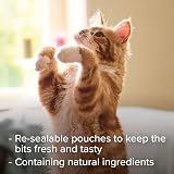 Beaphar Malt Bits Cats Treats 75 x Crunchy Malt Bits for Hairball Passage view 4
