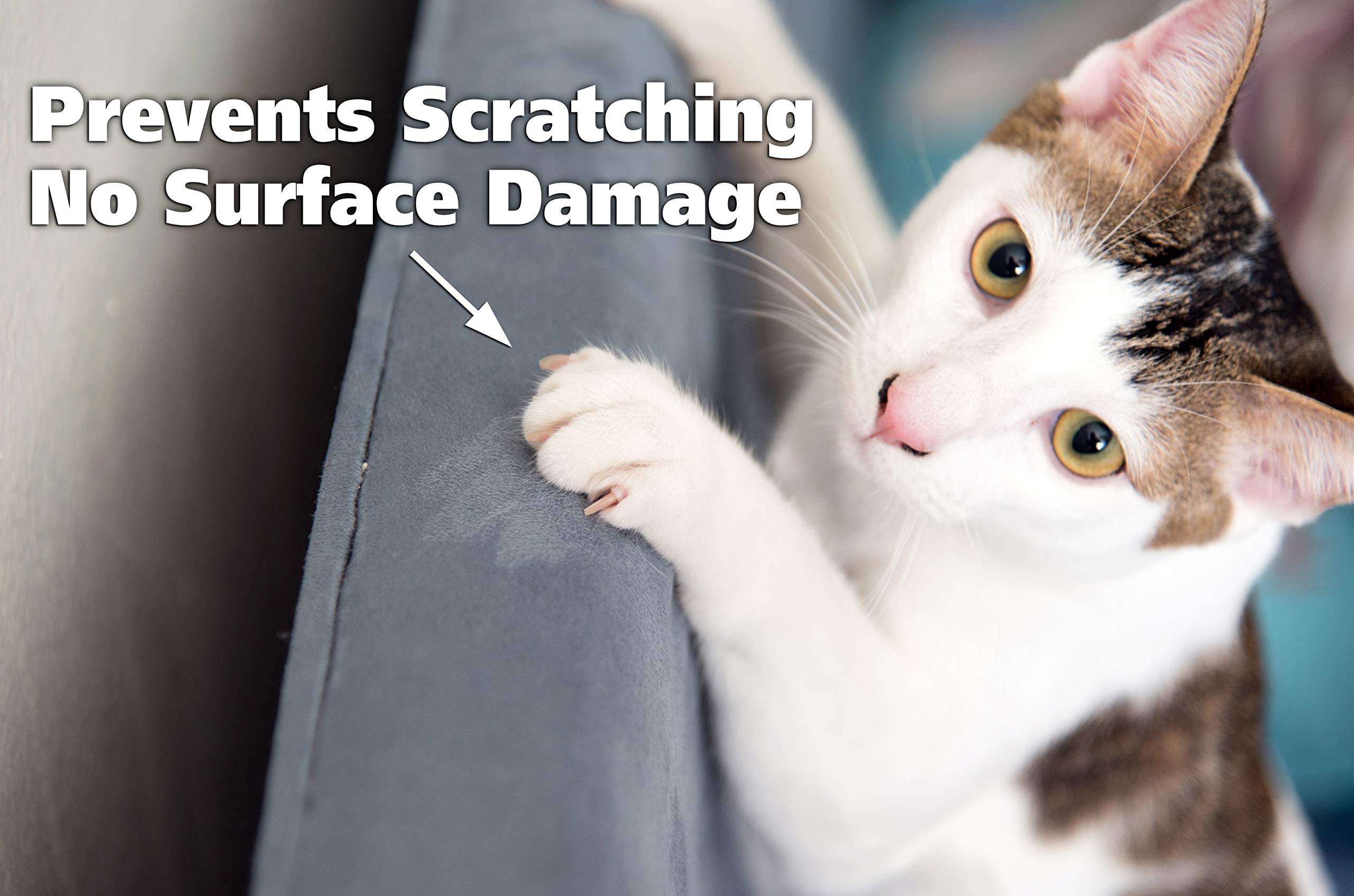 Cat Training Tape Prevent Scratching Clear Double Sided Tape
