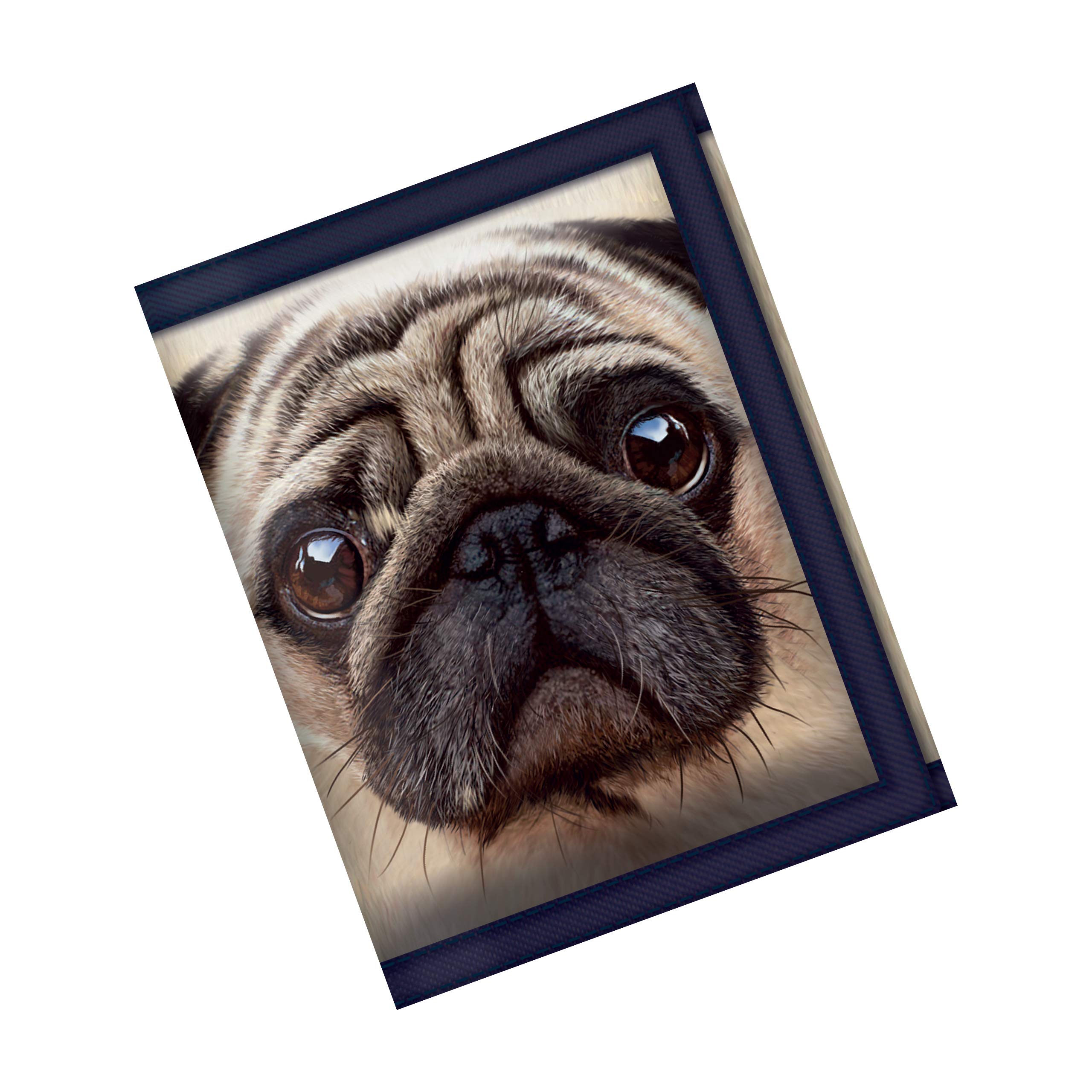 3D LiveLife Wallets - Pug from Deluxebase. Cool Lenticular Dog Trifold Wallet with Zipper, Coin Pocket, Keyring and Card Holder. Animal Themed Small Gifts for Men and Women.