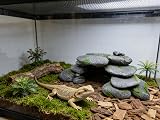 M2cbridge Pebble Arch Reptile Cave Hideout Ledge 3in H 9in L 5in W view 6