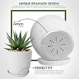 Utopia Home Plant Pots Indoor with Drainage 7/6.6/6/5.3/4.8 Inches Pack of 10 view 3