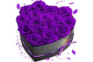Impouo 16 Preserved Flower Delivery Prime, Fresh Forever Roses In a Box, Birthday Gifts for Women, Mother's Day, and Valentine's Day-Purple Roses
