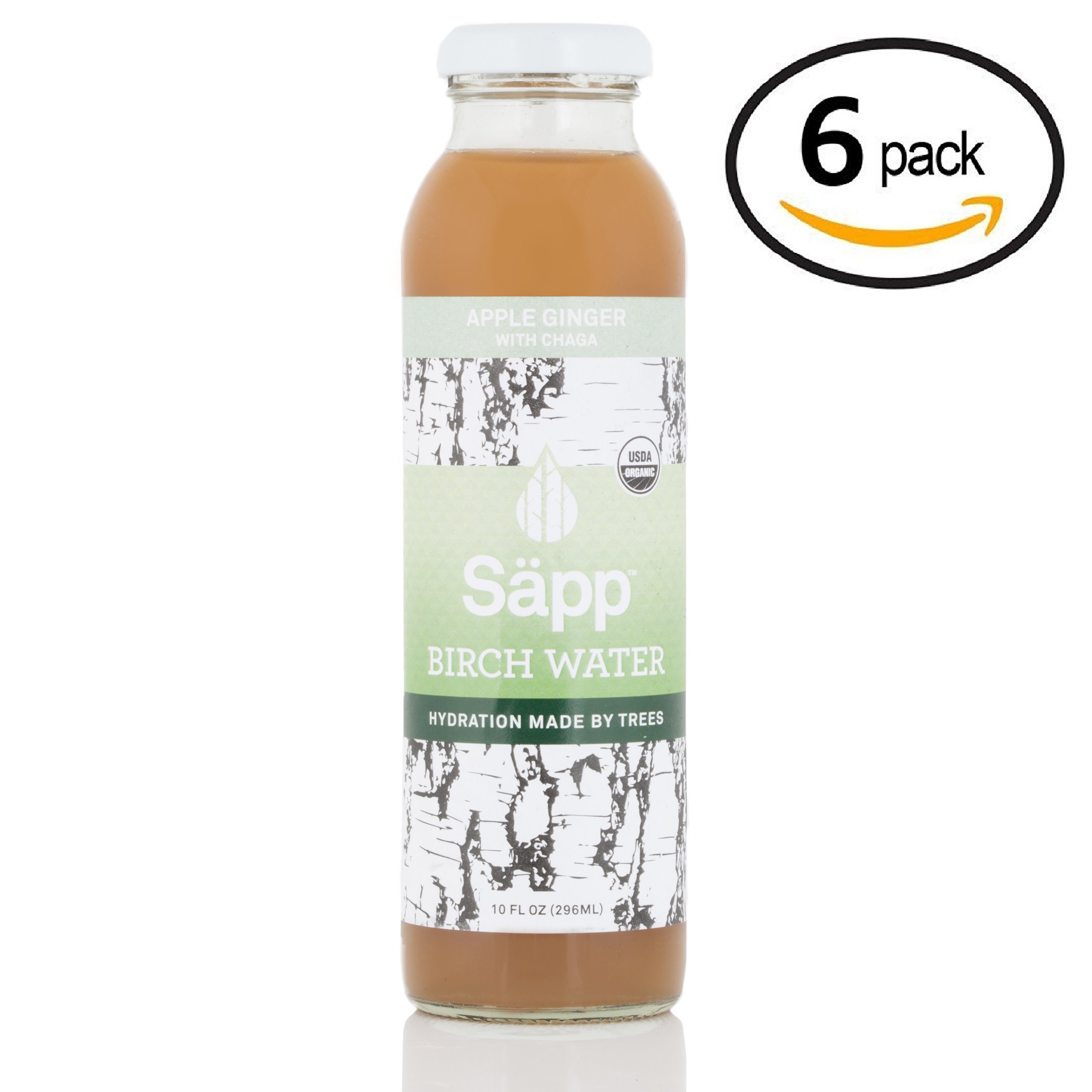 SÄPP - Birch Water Enhanced with Chaga - Apple Ginger (6 Pack) - Refreshing, Organic & Infused with Antioxidants - Low Sugar & Mineral Rich Forest-to-Bottle Hydration