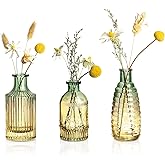 Joeyan Small Embossed Glass Bud Vase Set of 3,Green and Amber Colored Rustic Decorative Vase for Single Flower and Dry Flowers