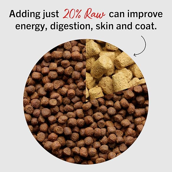 STELLA & CHEWY’S FREEZE-DRIED RAW CHICKEN MEAL MIXERS- DOG FOOD TOPPER AND MIXER – MADE WITH 95% CAGE-FREE CHICKEN, ORGANS & BONE – PERFECT FOR PICKY EATERS – GRAIN-FREE – 18OZ