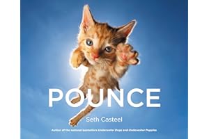 Pounce