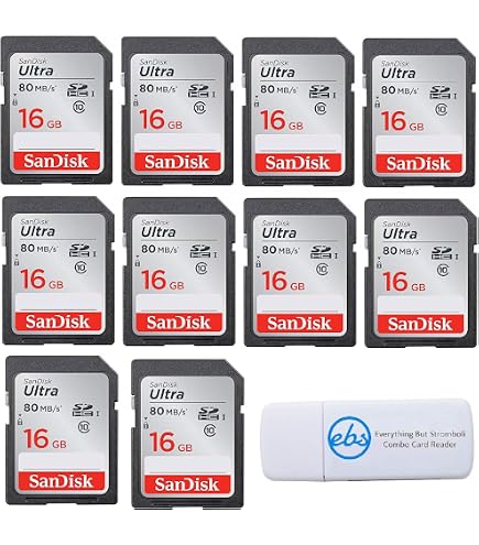 Amazon.com: Sandisk 16GB (10 Pack) SD Card Bundle SDHC Class 4