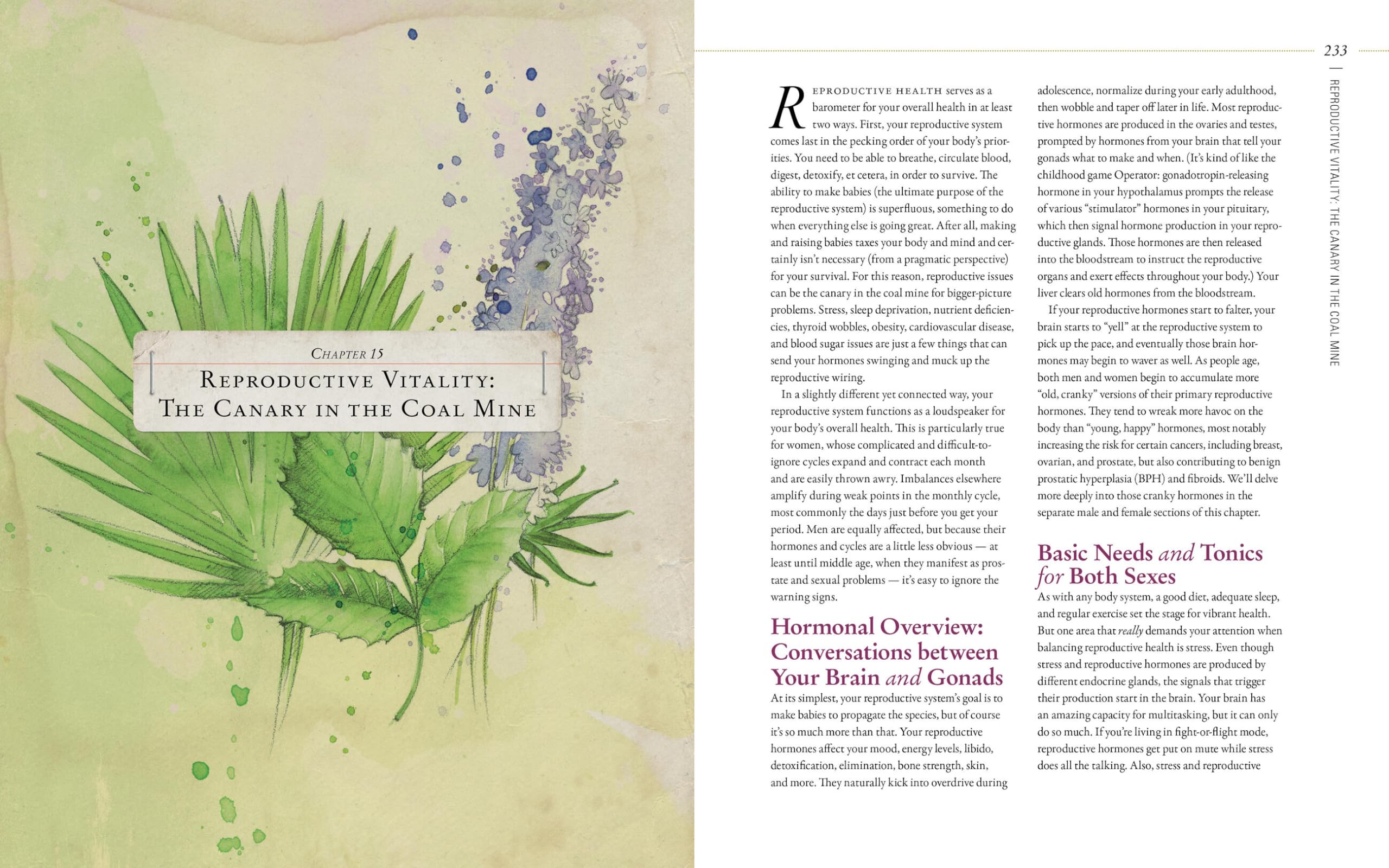 Body into Balance: An Herbal Guide to Holistic Self-Care