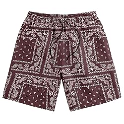 DIOTSR Mens Paisley Casual Shorts Retro Graphic