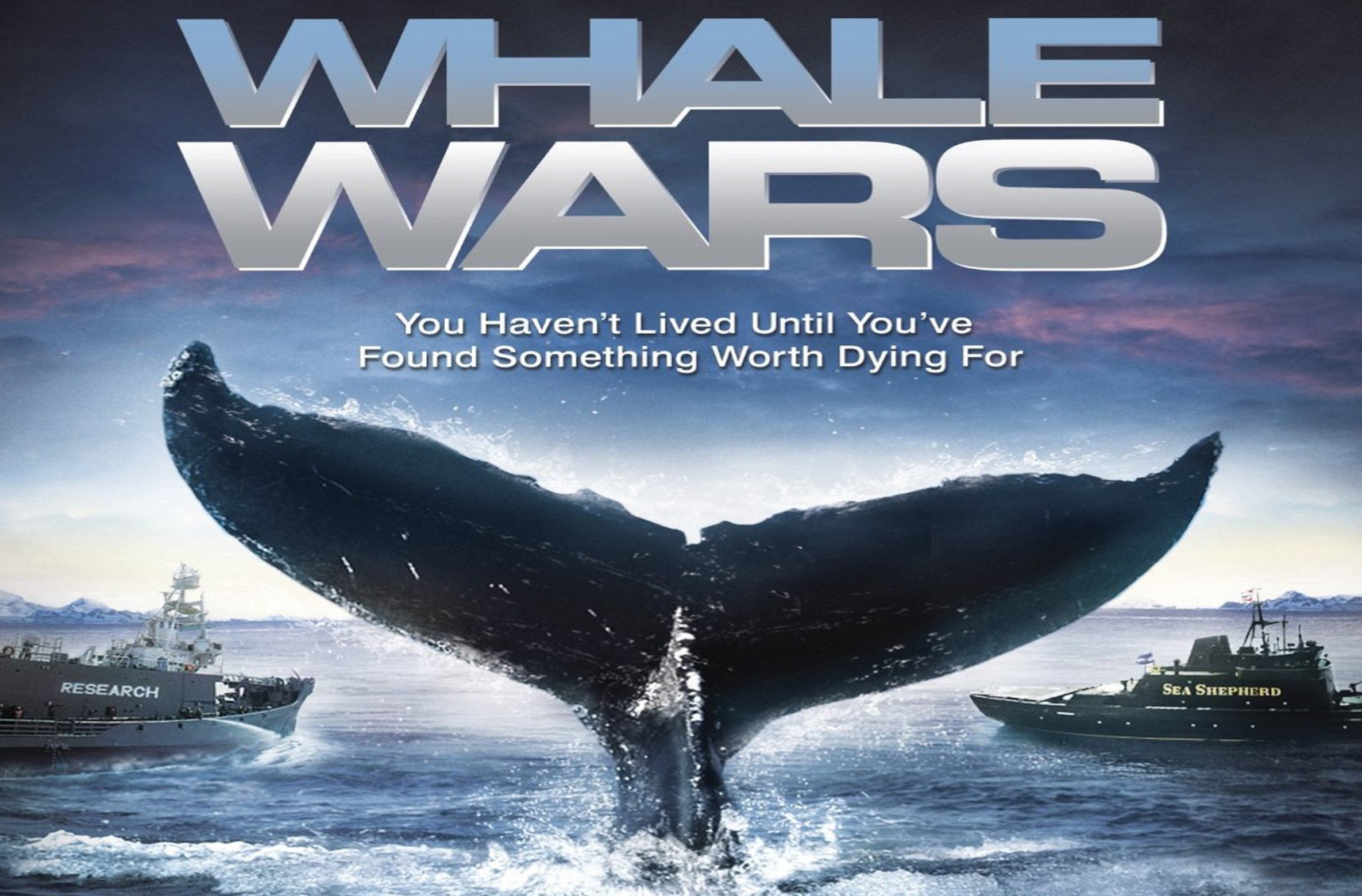 ufc 262 edson barboza