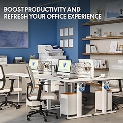 FLEXISPOT One-Piece Electric Standing Desk, 48 x 24