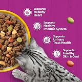 Whiskas Senior Dry Cat Food 800g Chicken Pack of 5 view 6