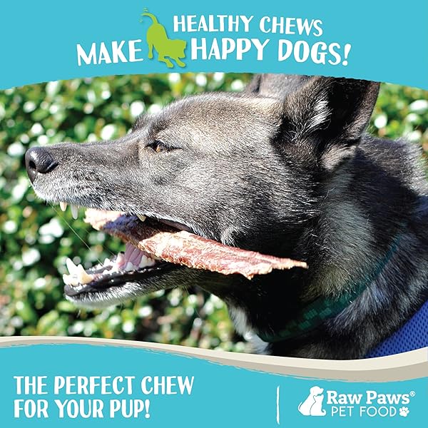 RAW PAWS BEEF ESOPHAGUS STRIPS FOR DOGS, 6-INCH (20-COUNT) – ALL NATURAL CHEWS – FREE-RANGE BEEF ESOPHAGUS STRIPS – DOG TAFFY CHEWS – SINGLE INGREDIENT CHEW FOR DOGS – COW JERKY TREATS