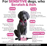 NutriPaw All-Itch Immunity Treats for Dogs Trio Pack view 4