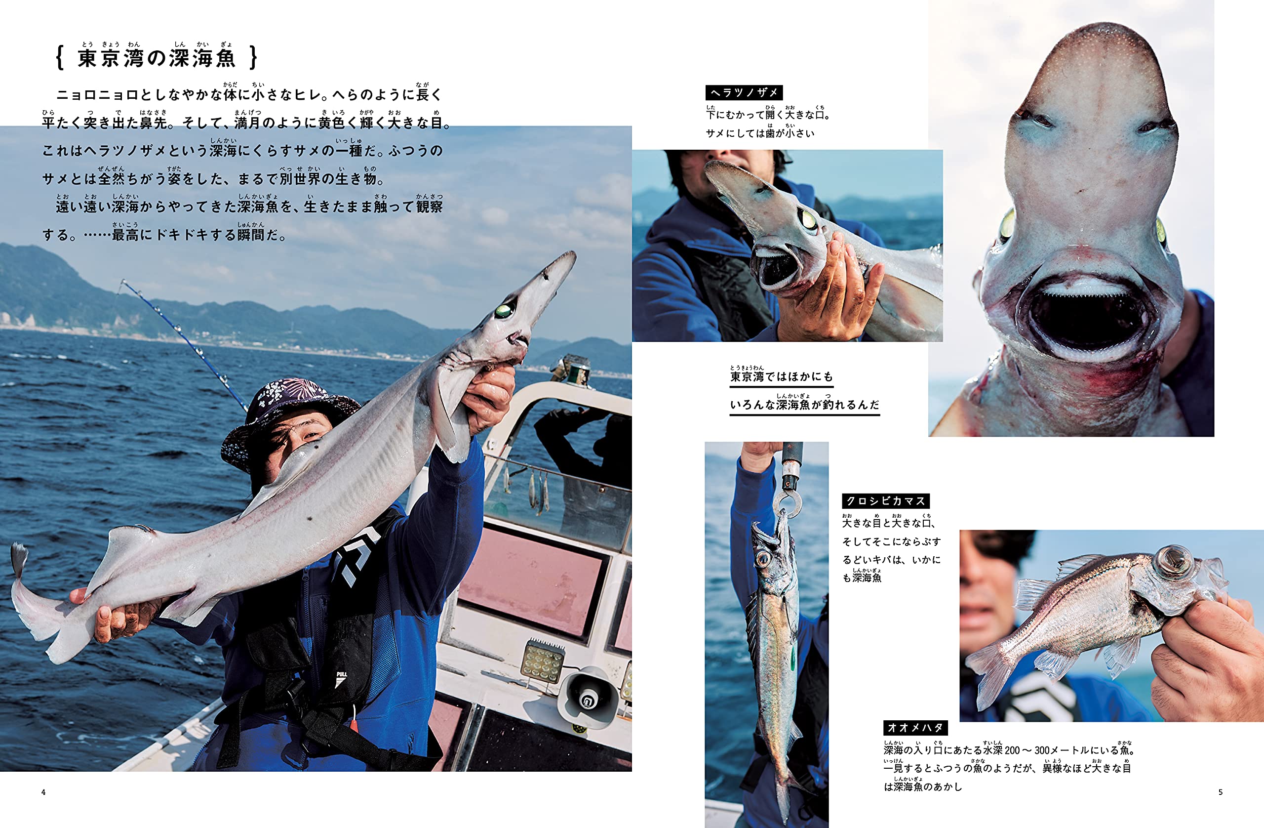 釣って 食べて 調べる 深海魚 月刊たくさんのふしぎ21年7月号 平坂 寛 長嶋 祐成 キッチンミノル 本 通販 Amazon