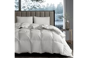 Hotel Grand White Goose Down Fiber Comforter Full Queen Size - All Season Fluffy Hotel Collection Duvet Insert Queen Medium Warmth Comforter with 1cm Breathable Panel, 90" x 90"