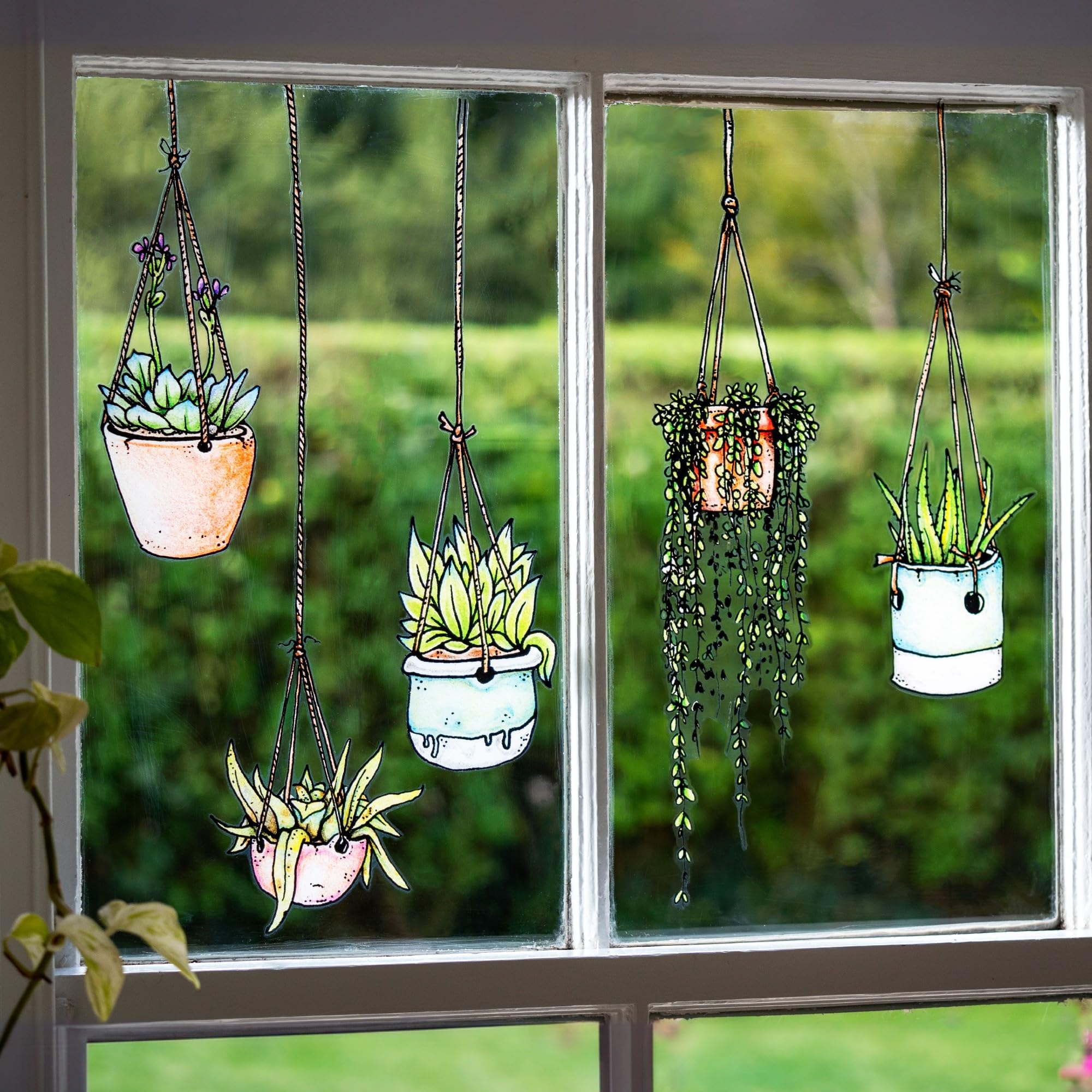 Stickers4-5 Illustrated Hanging Plant Window Stickers - Hanging Flower Pot Window Clings Stickers - Double Sided Greenhouse Decals - No Adhesive
