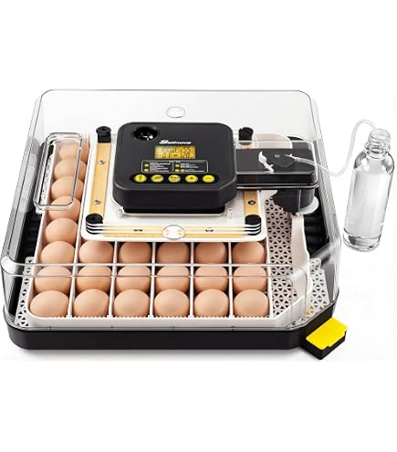 Amazon.com: 18-33 Egg Incubator for Hatching Eggs, Automatic Egg