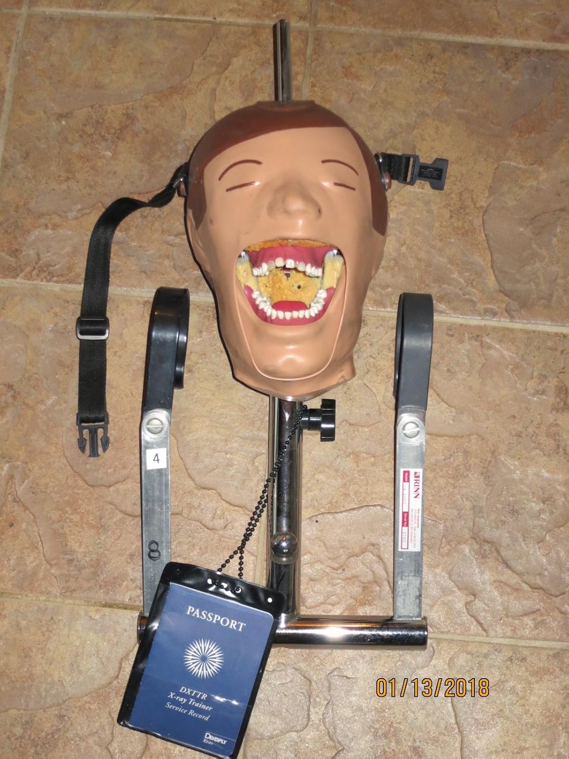 Dxttr Iii Dentsply Rinn Dental XRay Training Head Manikin