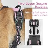 rabbitgoo Dog Harness Medium No Pull Front & Back Clips Reflective Pink view 7