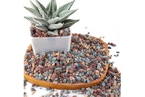 AVALUTION 2.4lb Mix Horticultural Lava Rock Pebbles Pumice Potting Soil Amendment Succulent Cactus Bonsai Gritty Rock Decorative Gravel Plant Drainage Volcanic Rock for Aquarium Fairy Gardening Top Dressing