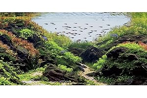 AWERT 30x18 inches Stone Aquarium Background Aquatic Plant River Bed & Lake Fish Tank Background Seaweed Fish Tank Background Vinyl Background