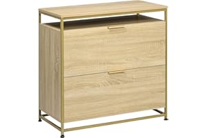 Vinsetto Lateral Filing Cabinet, 2 Drawers File Cabinet with Hanging Bars for A4 and Letter Size, Printer Stand for Home Offi