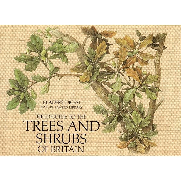 Field Guide to the Trees and Shrubs of Britain (Nature Lover's