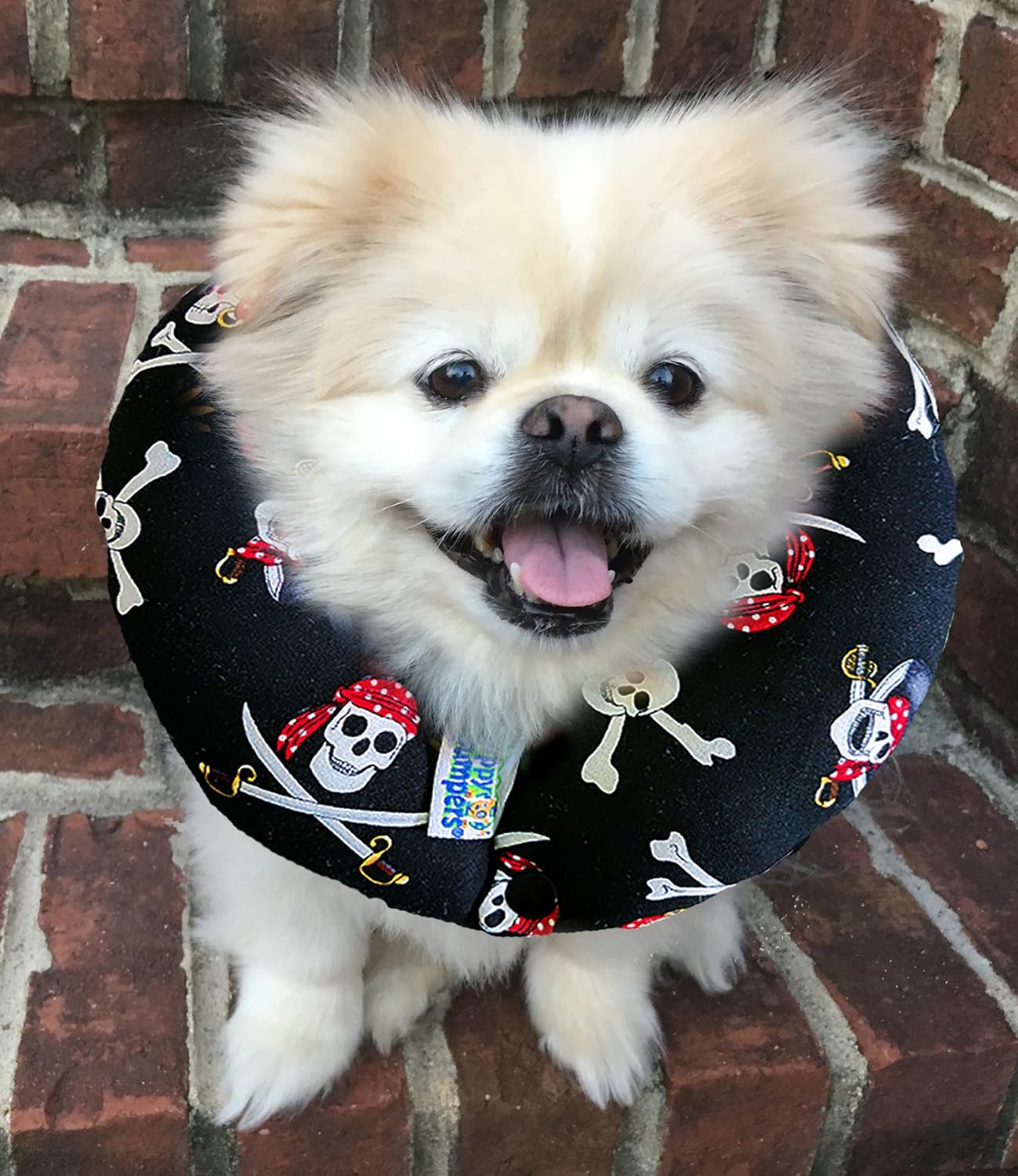 neck pillow for dogs with megaesophagus