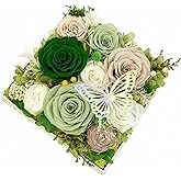 HipTree Preserved Dark Green & Light Sage Rose - Forever Real Eternal Austin Rose Gifts for Women, Valentine’s Day Mother’s Day Easter Birthday Christmas Wedding Anniversary for Mom Wife Girlfriend