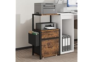 HIGDBFE 2-Drawer File Cabinet, Filing Cabinet with 2-Tier Printer Shelves, Office Cabinets with Side Bag&File Drawer for A4/L